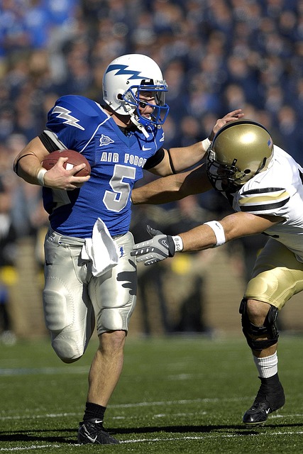 的一匹黑马 的一匹黑马