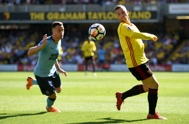 培养年轻球 培养年轻球