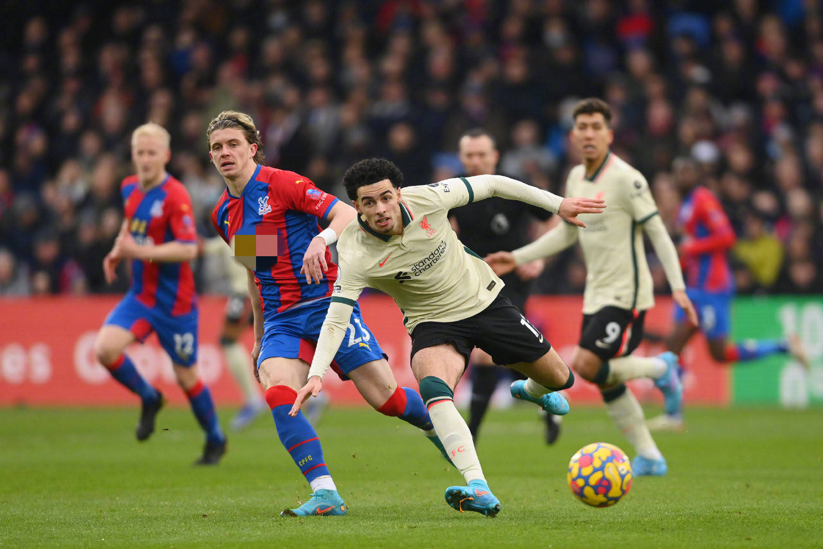 众多国际顶 众多国际顶