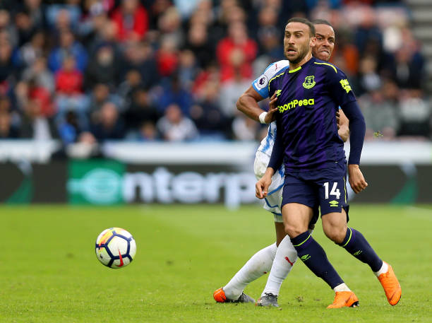 让它在搜索 让它在搜索